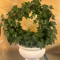 Seller Image